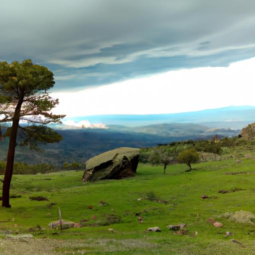 Descubre el misterio y la leyenda del símbolo del gallo en Portugal