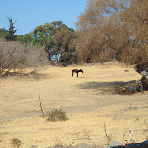Descubre el paradero de Vila Delrey y Macao en Portugal