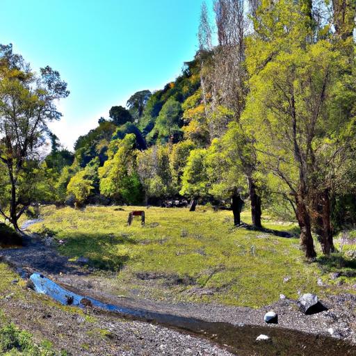 Casas Rurales con Calefacción en Portugal: Disfruta del invierno en tu escapada