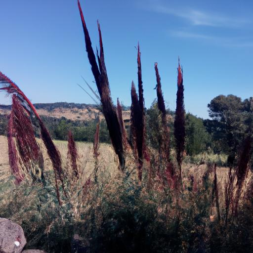 La ruta y duración perfecta entre Salamanca y Braga, Portugal