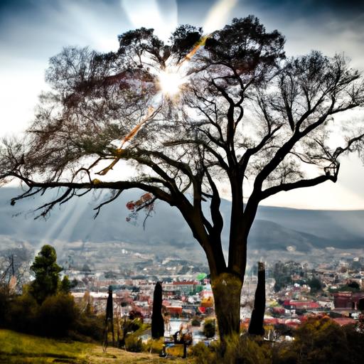 Alojamiento en Portugal: Descubre qué son y cómo funcionan las Guest House en un Homestay